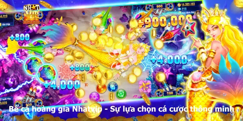 Bể cá hoàng gia Nhatvip - Sự lựa chọn cá cược thông minh