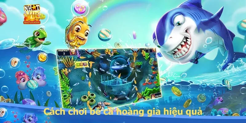 Cách chơi bể cá hoàng gia hiệu quả