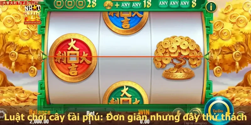 Luật chơi cây tài phú: Đơn giản nhưng đầy thử thách