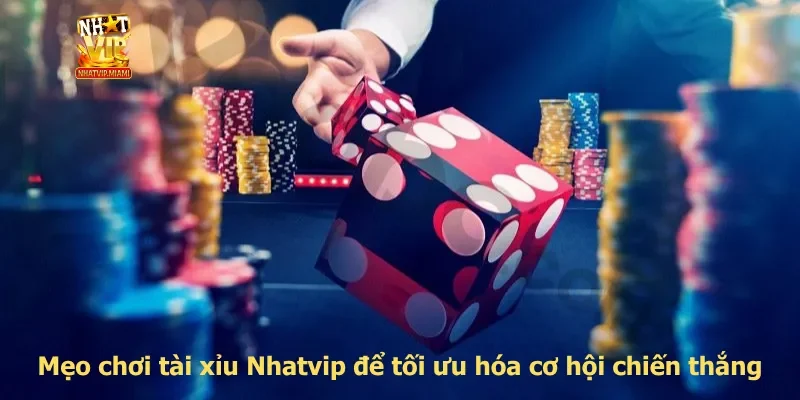 Mẹo chơi tài xỉu Nhatvip để tối ưu hóa cơ hội chiến thắng