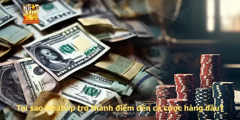 Tại sao Nhatvip trở thành điểm đến cá cược hàng đầu?