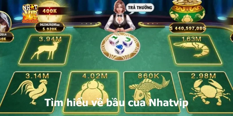 Tìm hiểu về bầu cua Nhatvip