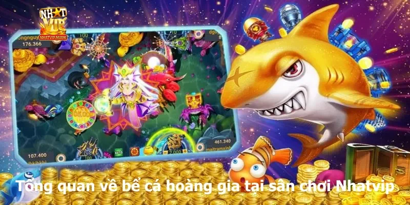Tổng quan về bể cá hoàng gia tại sân chơi Nhatvip