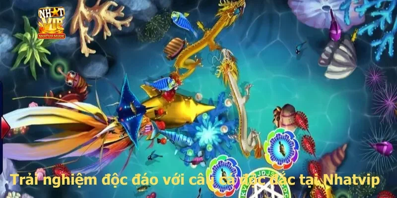 Trải nghiệm độc đáo với câu cá độc đắc tại Nhatvip