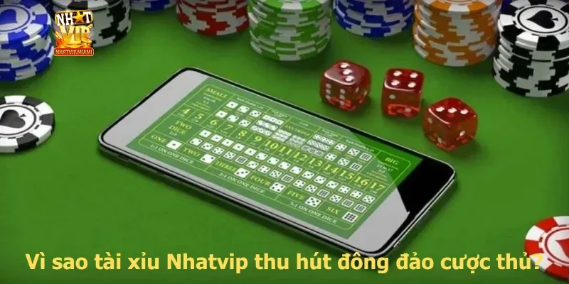 Vì sao tài xỉu Nhatvip thu hút đông đảo cược thủ?